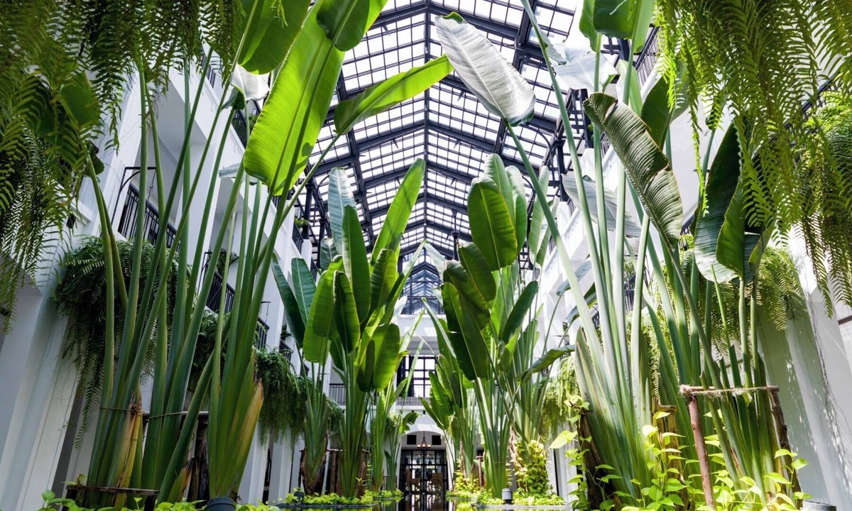 Wachira Phayaban Hotel | The Siam