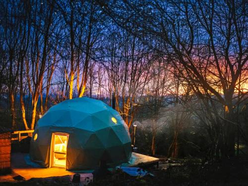 Farden House | The Tree Dome - Ukc6979