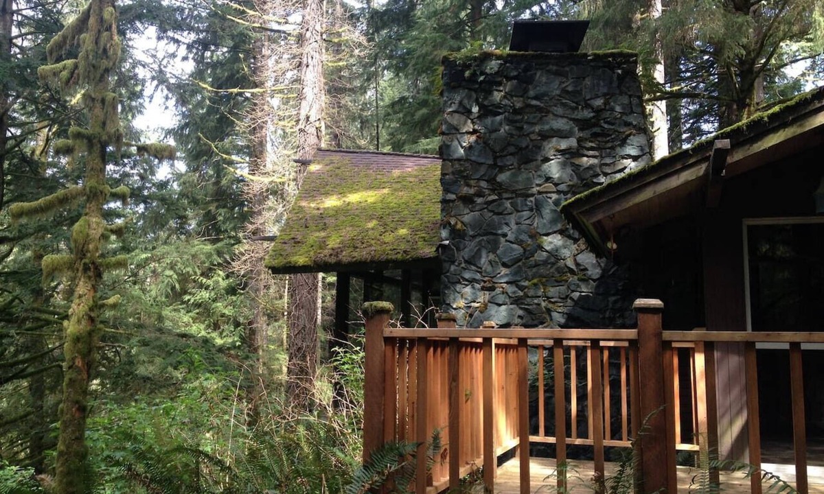North Bend Cabin | The Treehouse~ Private & secluded but close to town!