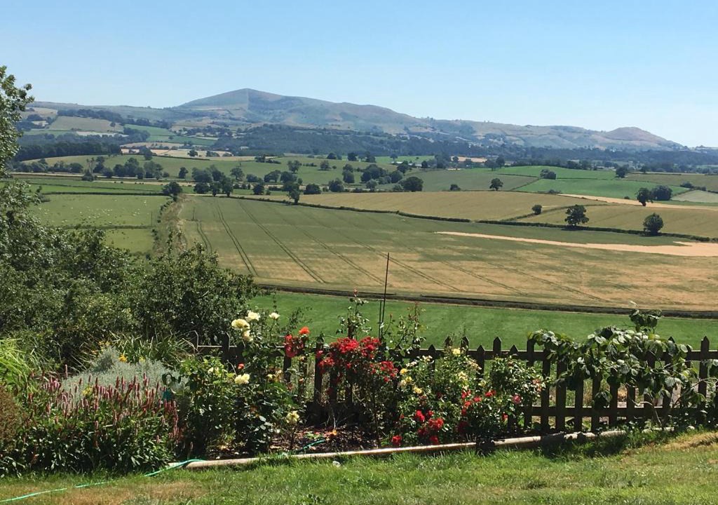 Kingswood House | The View
