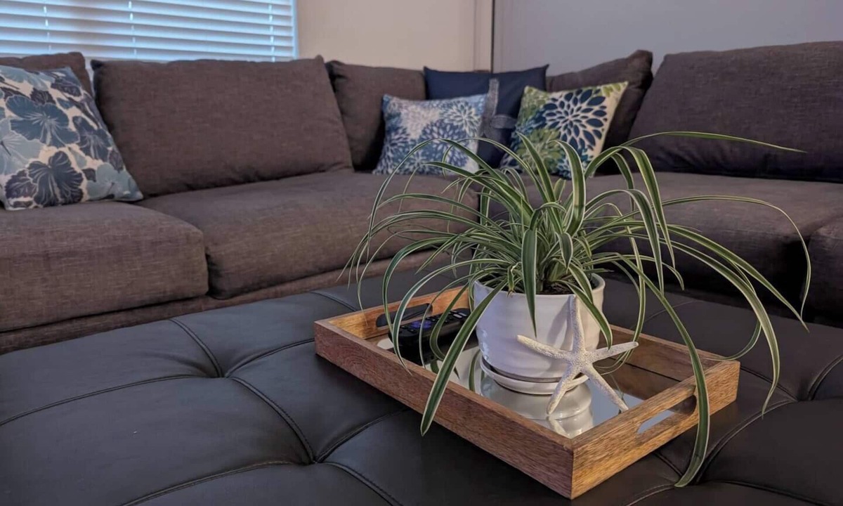 Bellview House | This house is a 3 bedroom(s), 2 bathrooms, located in Bellview, FL.