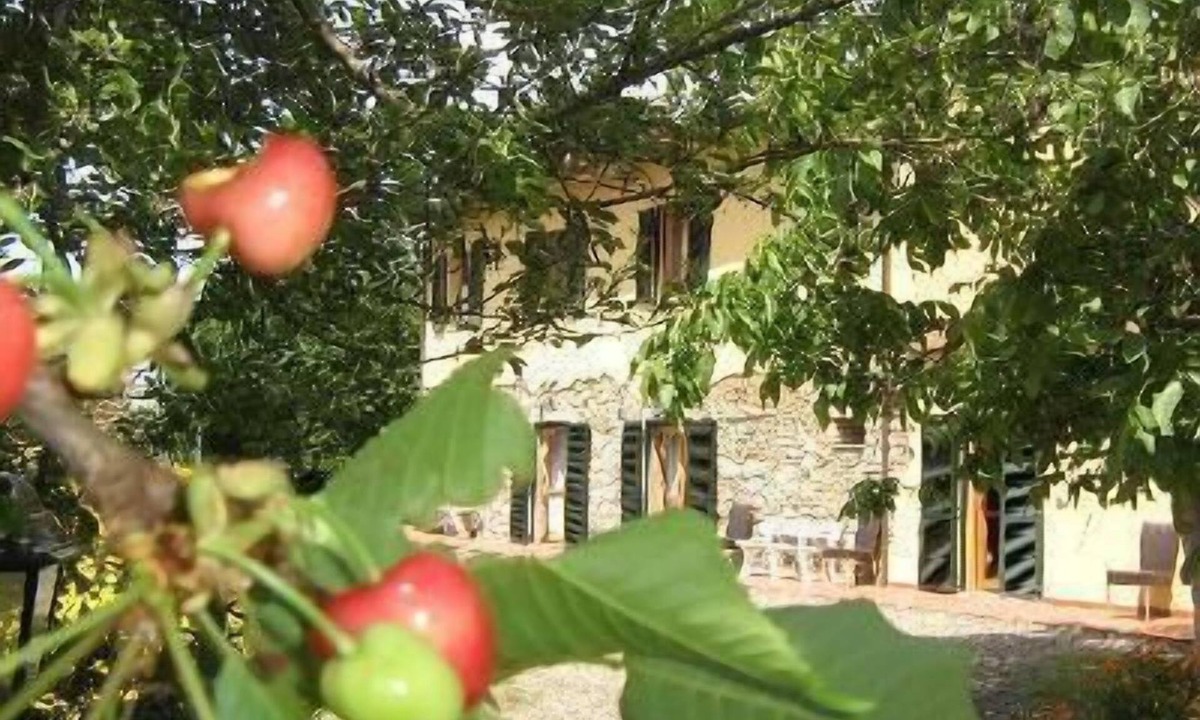 Pomaia Other | Three-room flat