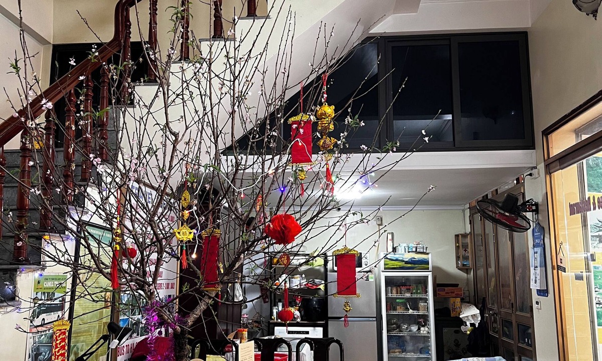 Ninh Binh House | Thu Guest House