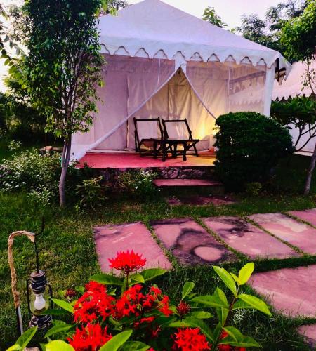Sawai Madhopur Other | Tiger Resort Boho