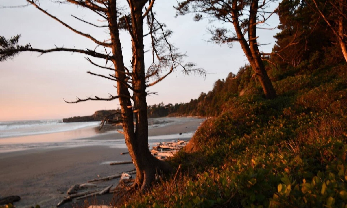 Otter Rock Ski Chalet | Tiki of the Pines Private Ocean Access A-Frame