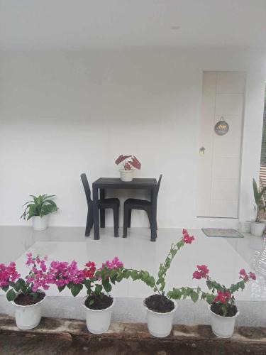 Buenavista Apartment | Tilipunan House