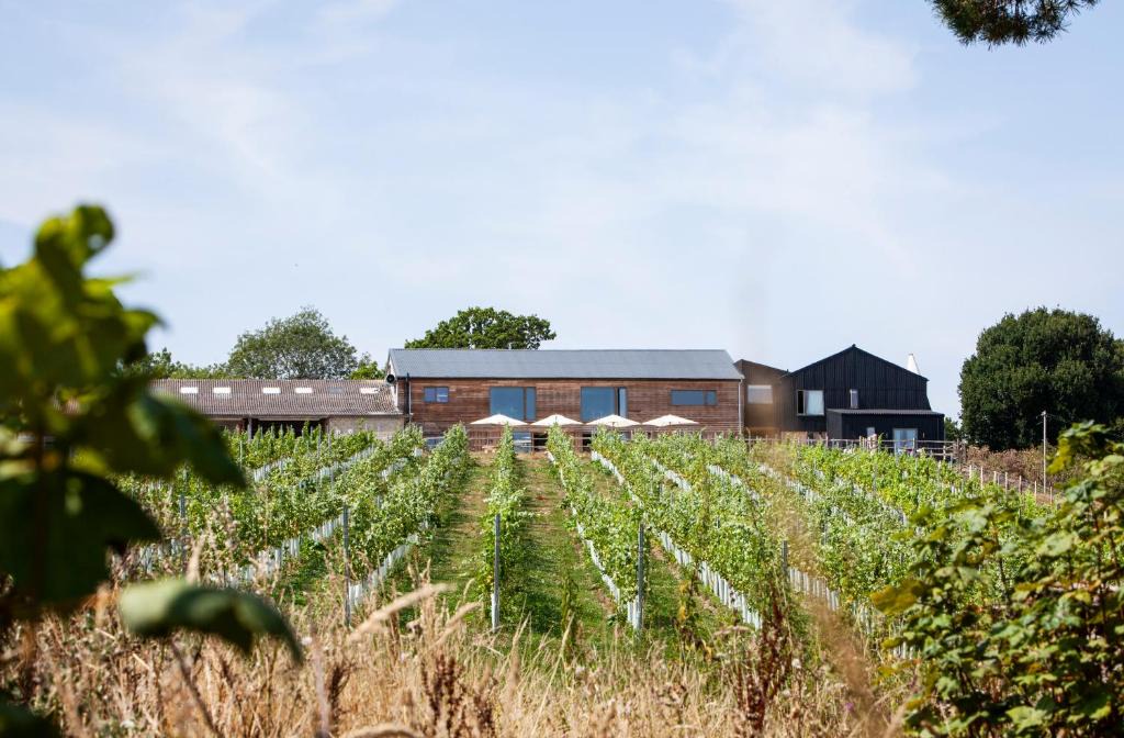 Rye Hotel | Tillingham Winery