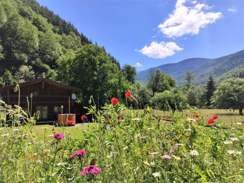 Rau Sadului House | Timber Charm Chalet