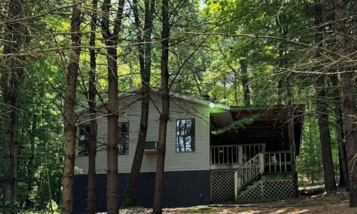 Old Washington Cottage | Timberline Cabins - Wildwood Cottage - Hot tub, Pets