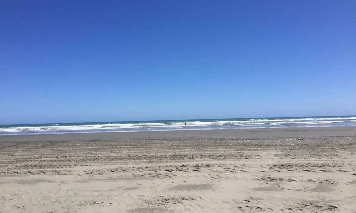 Waikawa Beach Cabin | Tiny beach holiday house an hour from Wellington