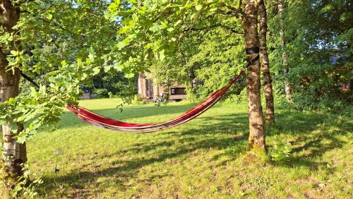 Saint-Leger House | Tiny Gaumaise - Tiny house à Saint-leger