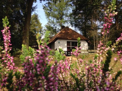 Otterlo House | Tiny House de Berken