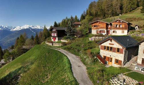 Monteiller Ski Chalet | Tiny House facing the Alps - Ski in, Ski out
