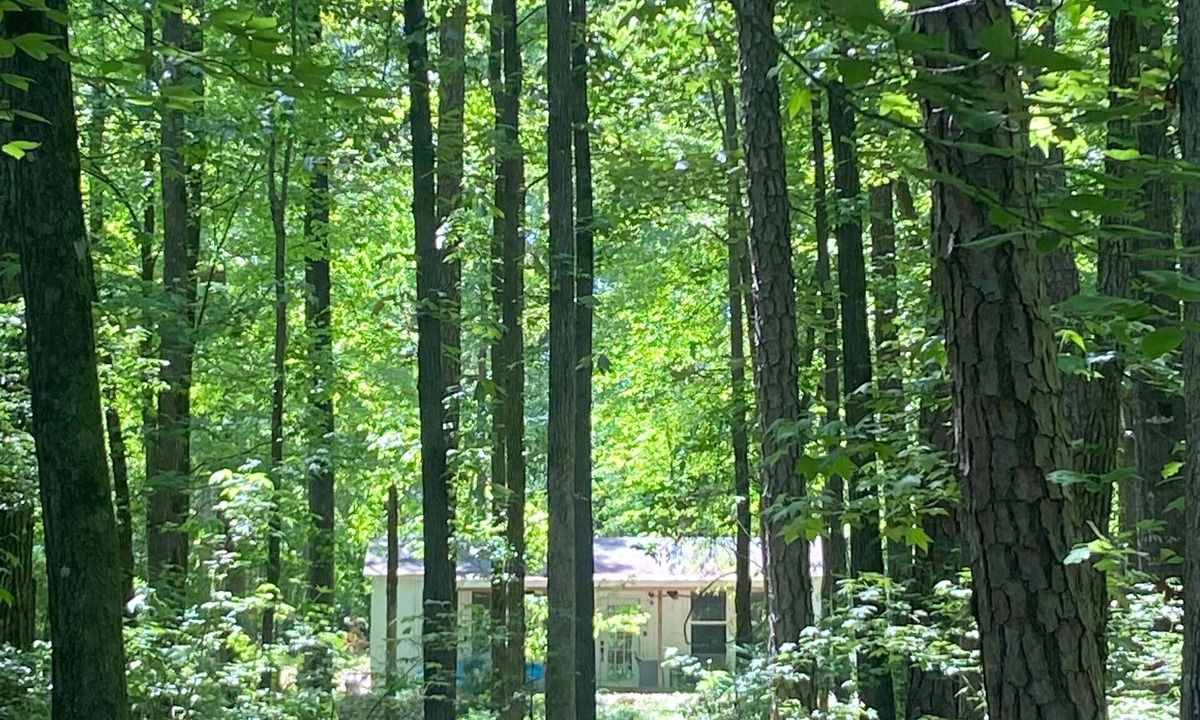 Martin House | Tiny Retreat with boat dock , Lake Hartwell, GA