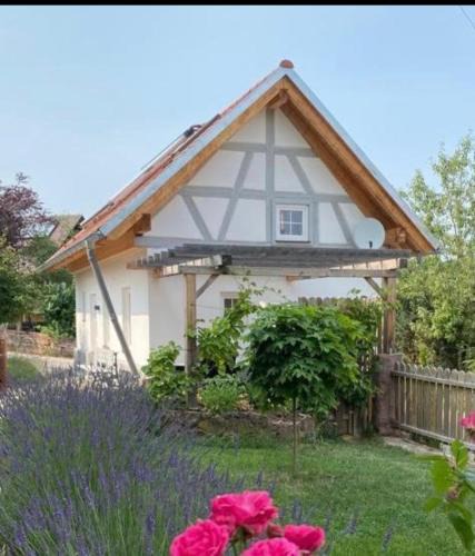 Schmieh Villa | TinyLoft