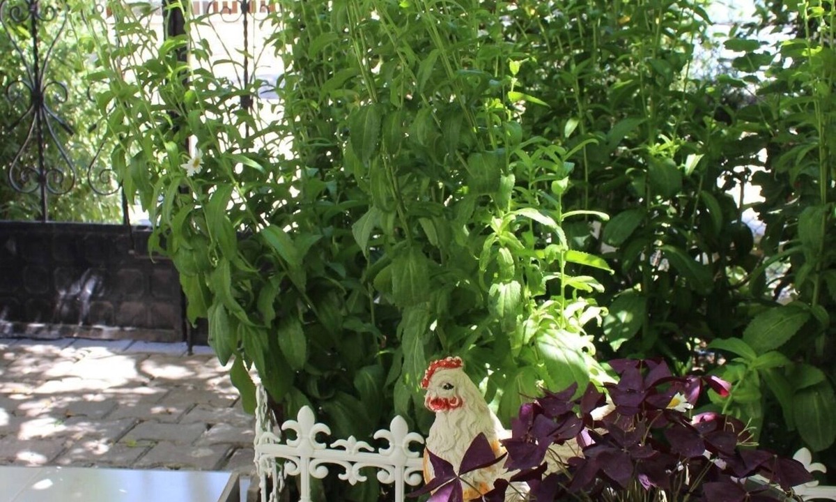 Marmara Hostel | Titiz Pansiyon