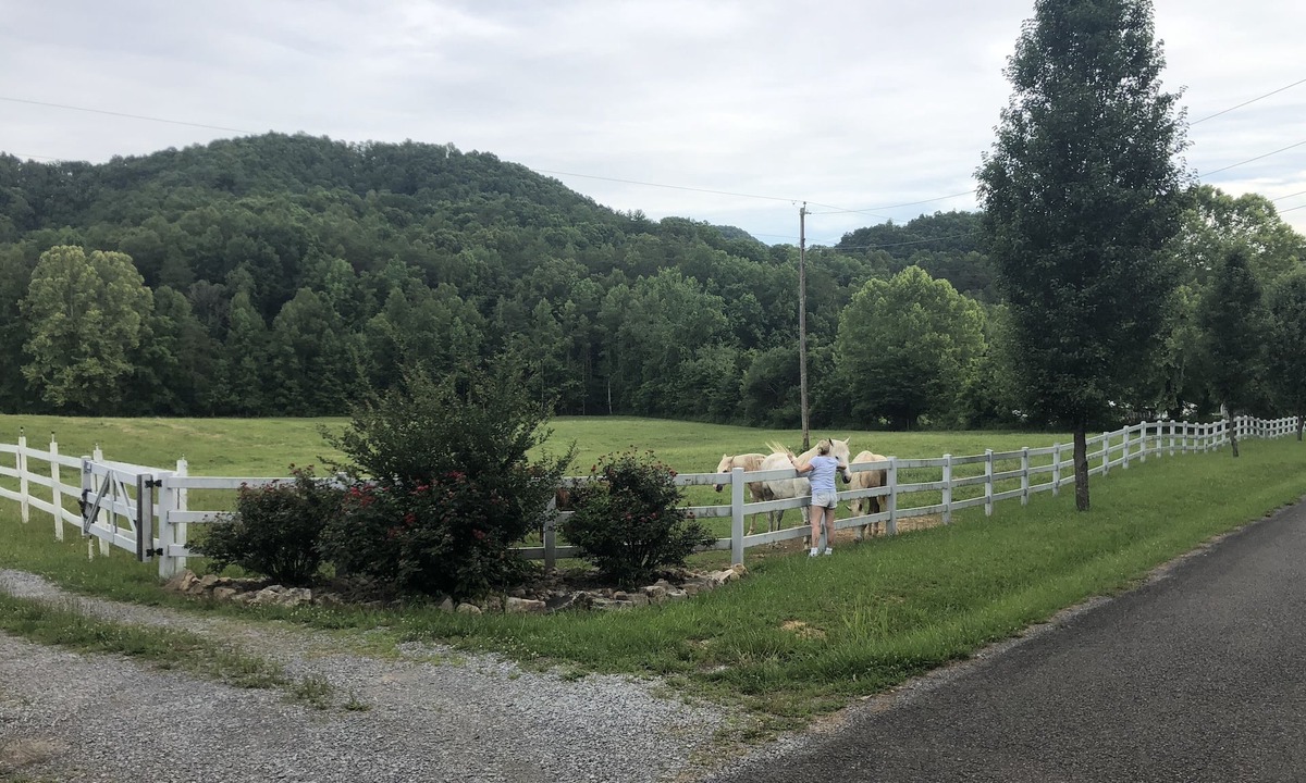 Tellico Plains House | Tlea Farm Mountain Log Cab. 73 Acres of Trails and Horse Paddocks 2 Steams+Lake