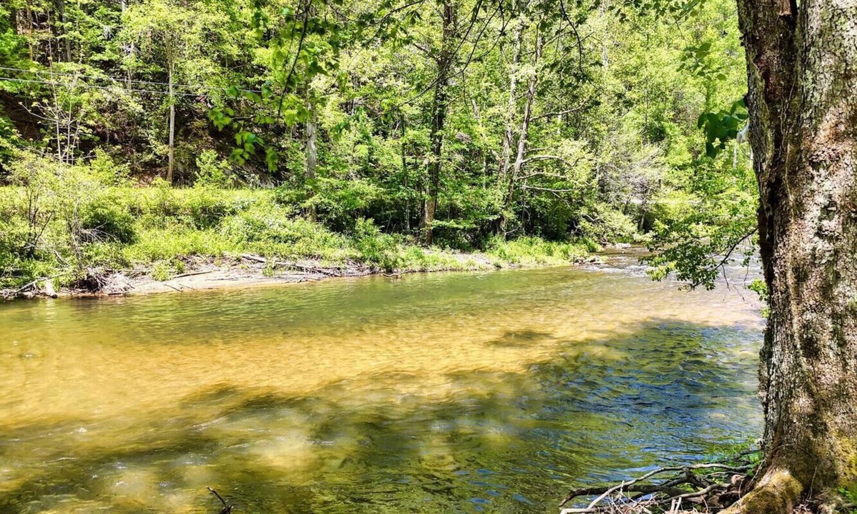 Suches Cabin | Toccoa River Cabin - Private Fishing Retreat, Summer on the Toccoa River!