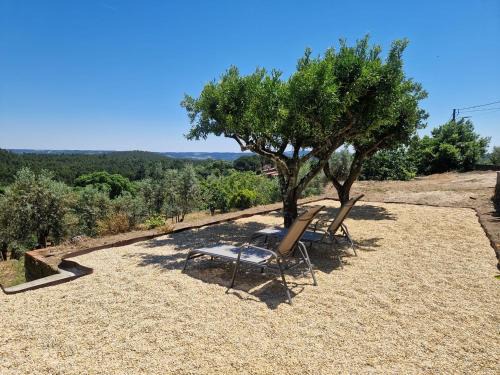 Tomar House | Tomar Stunning Views pool cottage