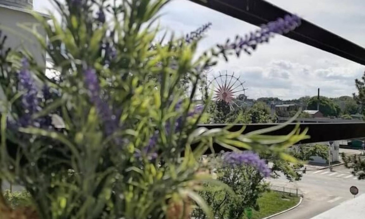 Neptun Hotel | Tomis Hotel Neptun