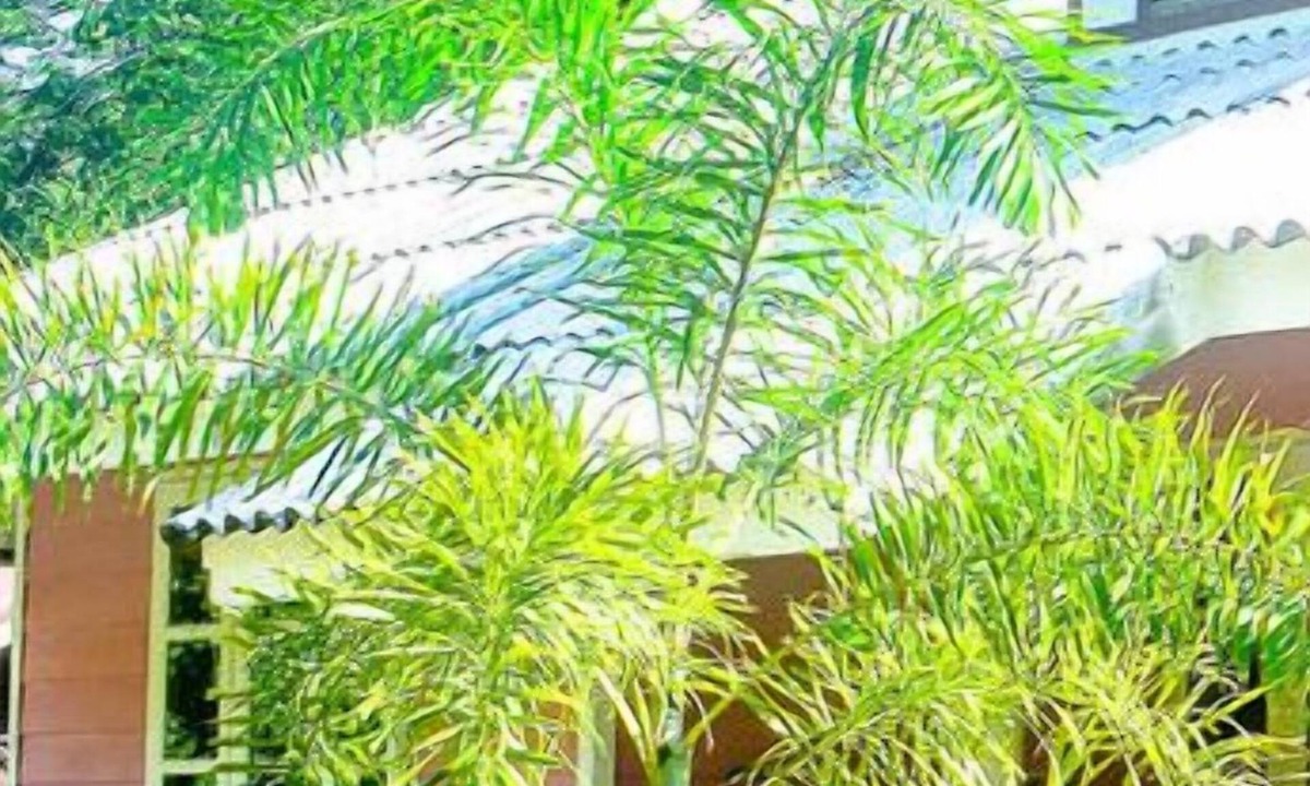 Ko Kood Hotel | Ton Tawan resort