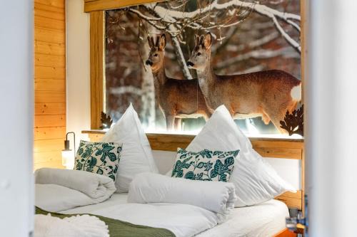 Tonbach Apartment | Tonbach 52, Schwimmbad, Sauna, Solarium, Terrasse