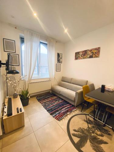Illkirch-Graffenstaden Apartment | TonyaFlowersapp