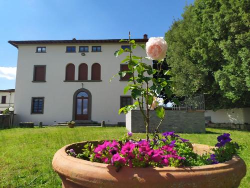 Cicogna Villa | Total Tuscany Countryside Villa