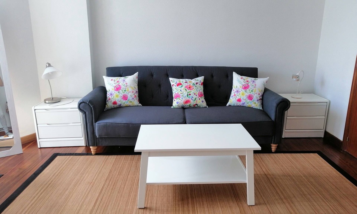 Plencia Apartment | Tourist Accommodation Portaleta in Plentzia