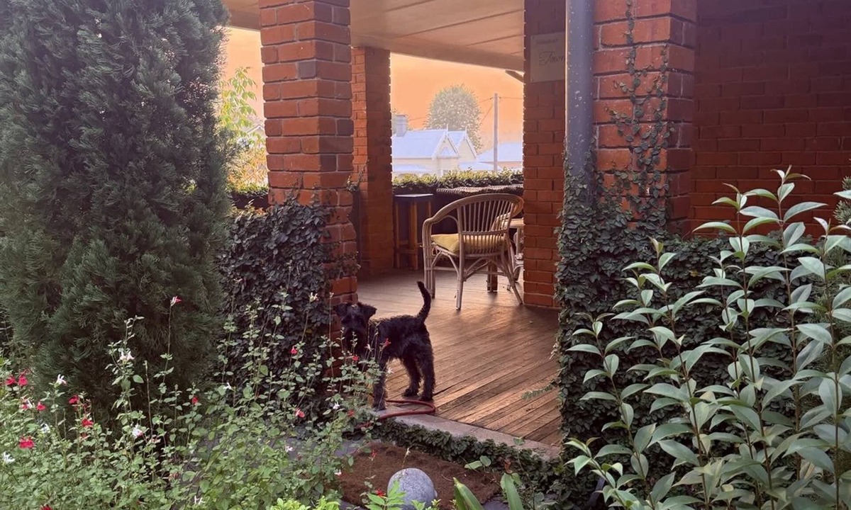 Tenterfield Apartment | Towncottage Tenterfield Stay with Scenic Views