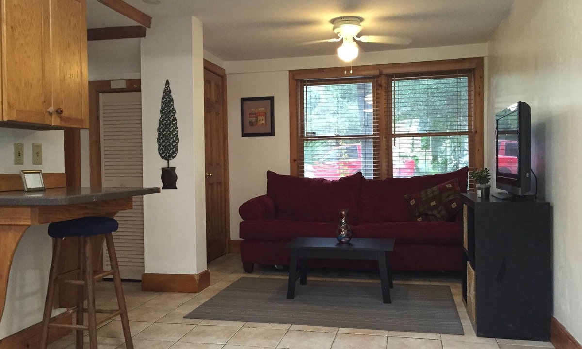 Gainesville Apartment | Townhome in downtown, walk to bars, restaurants, Bo Diddly park and Depot Park