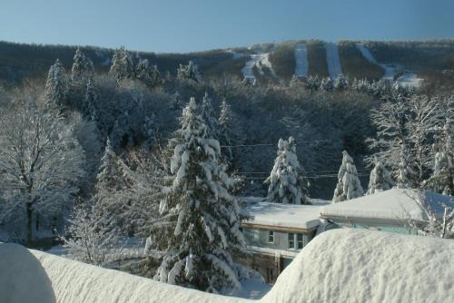 Windham Apartment | Townhouse W Private Deck & Mt View
