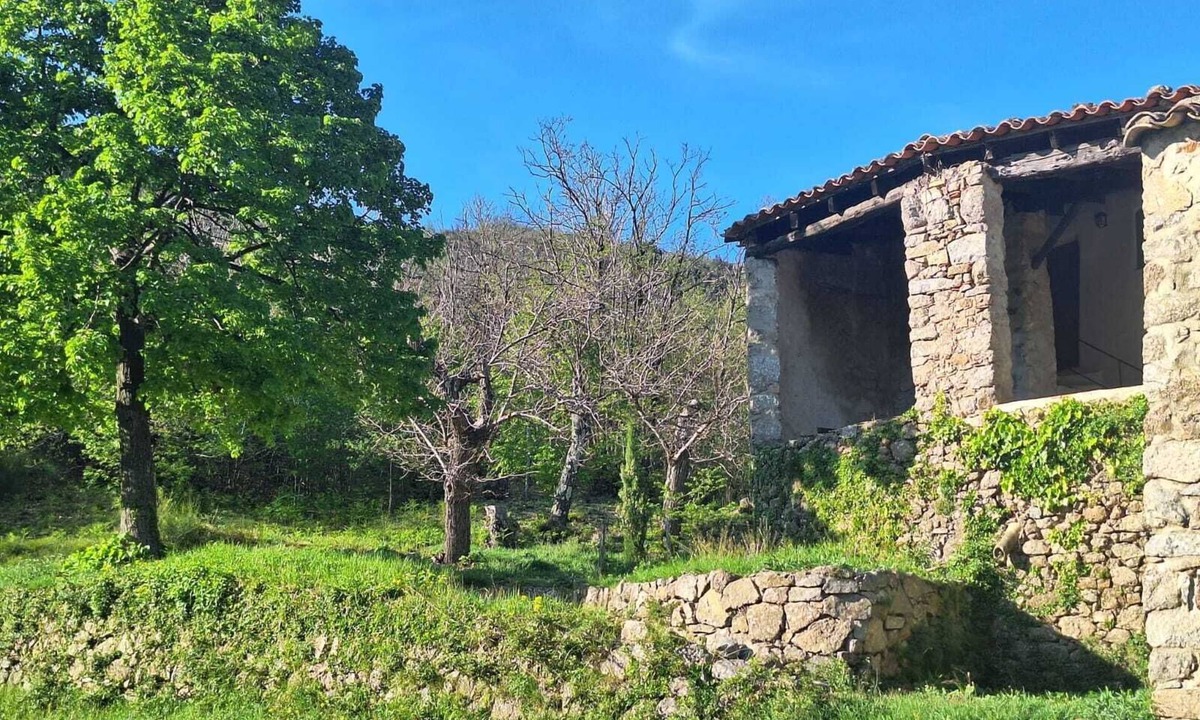 Cros House | Traditional Cévennes farmhouse in the heart of nature, one hour from Montpellier