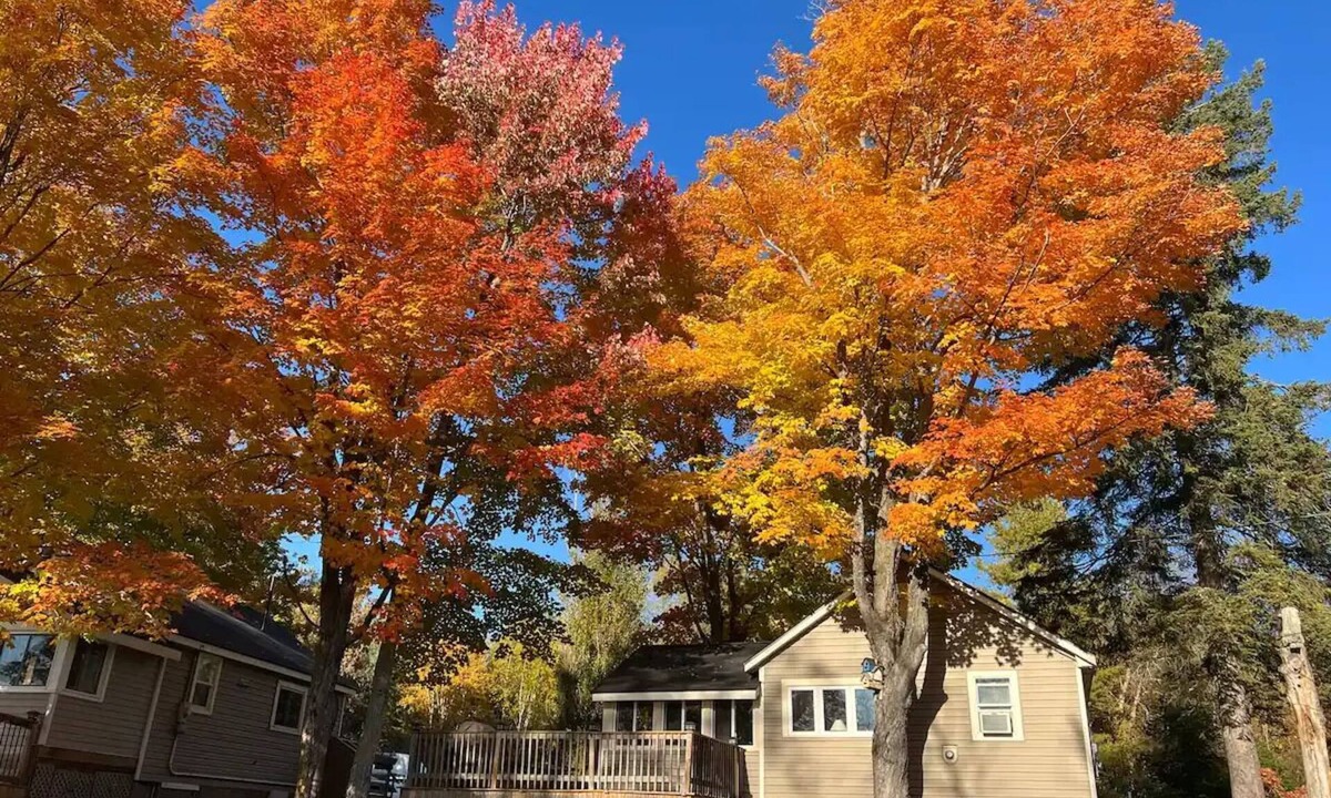 Muskoka Lakes Cottage | Traditional Cottage in Muskoka Lakes Bala