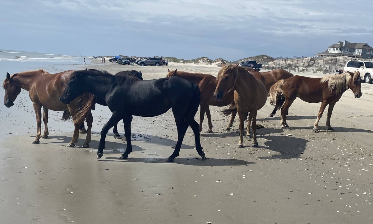 Ocean Hill House | Tranquil 7 bedroom oceanfront home JANUARY-MARCH ONLY!