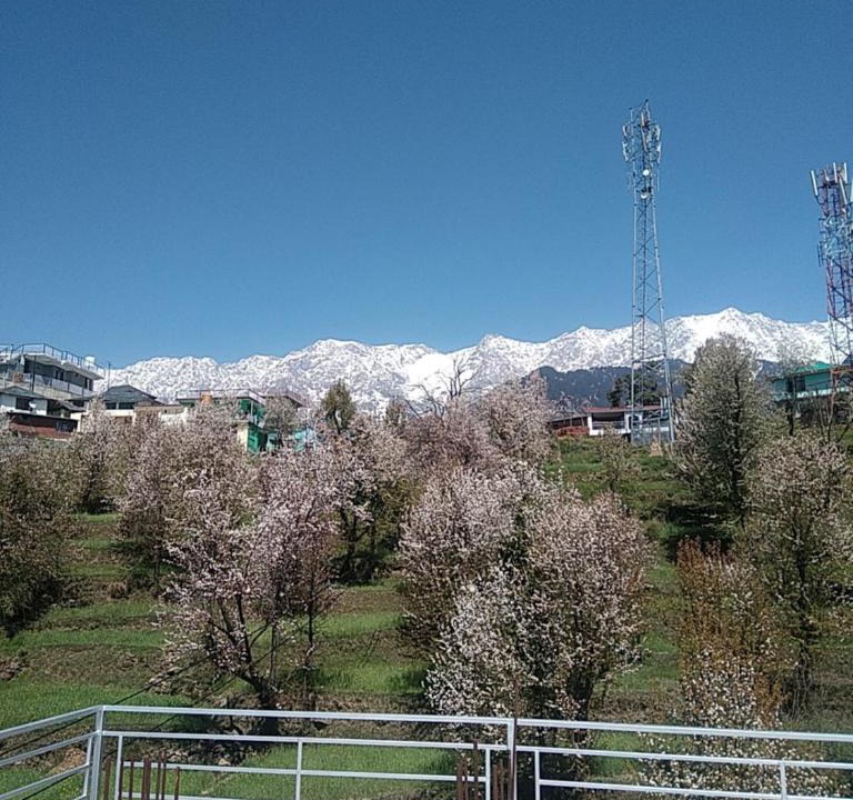 Naddi House | Tranquil trails home stay naddi