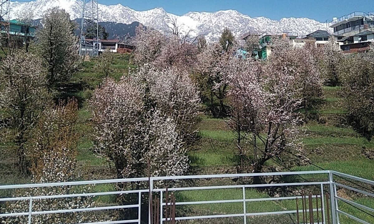 Naddi Bed & Breakfast | Tranquil trails Naddi Mountain view
