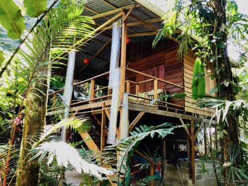 Manzanillo House | Tranquila - Jungle Cabin for Nature Retreat