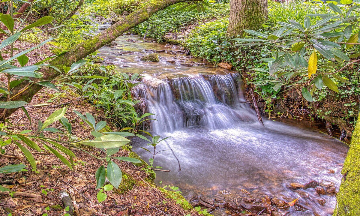 Sherwood Forest Cabin | Tranquility Falls Maggie Valley Cabin w/Fire Pit Pool and Hot Tub