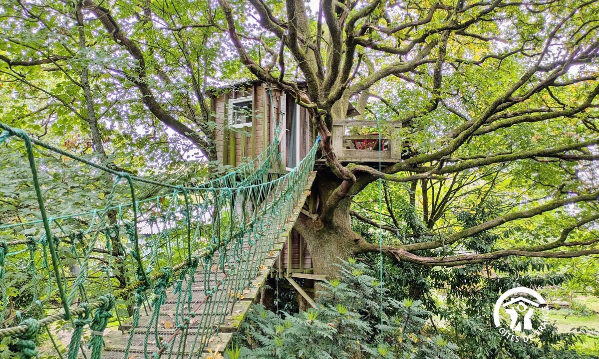 Saint-Thomas-de-Courceriers Bed & Breakfast | "Treehouse Retreat with Pool, Farm Animals & Fishing in Saint-Thomas-de-Courceriers"