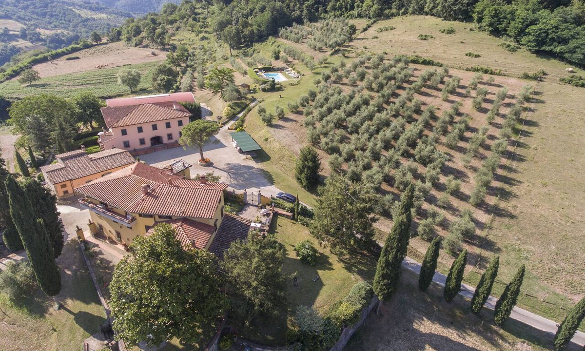 Dicomano Other | Trebbiolo