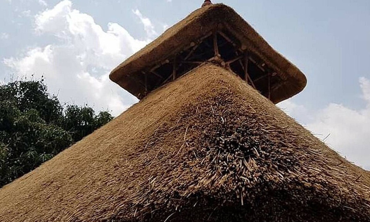 Narayanapura House | Tree and Mud House