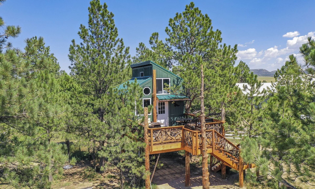 Larkspur House | Tree Eagles Nest