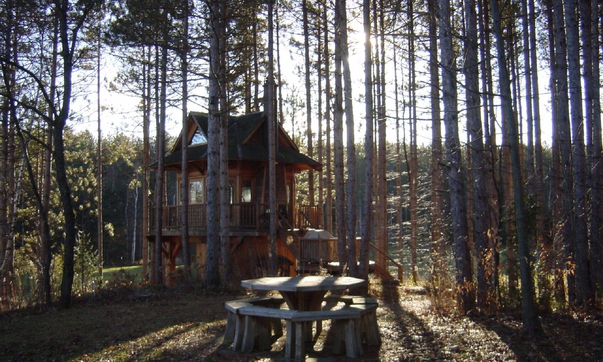 Ashburn Ski Chalet | Tree House getaway with swimming, 18km of Hiking and MTN Biking Trails.
