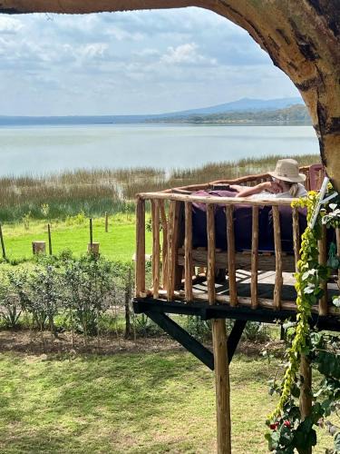 Gilgil Cabin | TREE HOUSE Lodge