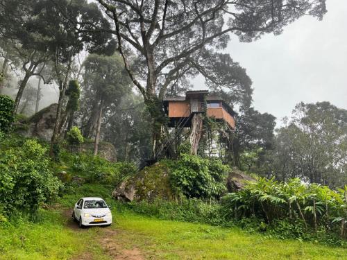 Devikolam Other | Tree House Munnar