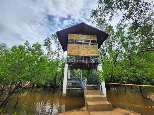Bayawan City Bed & Breakfast | Tree House