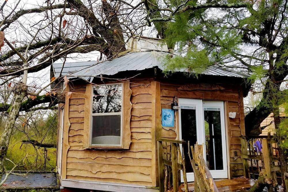 Celeste Cabin | Tree House Rental with Private Pool in Celeste, for Glamping Adventures in Texas