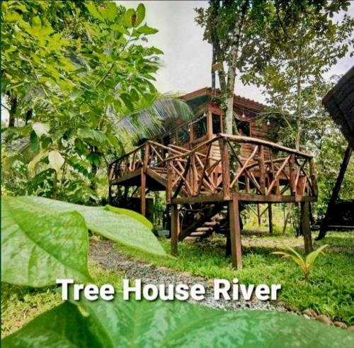 Arenal Hot Springs Apartment | Tree House River