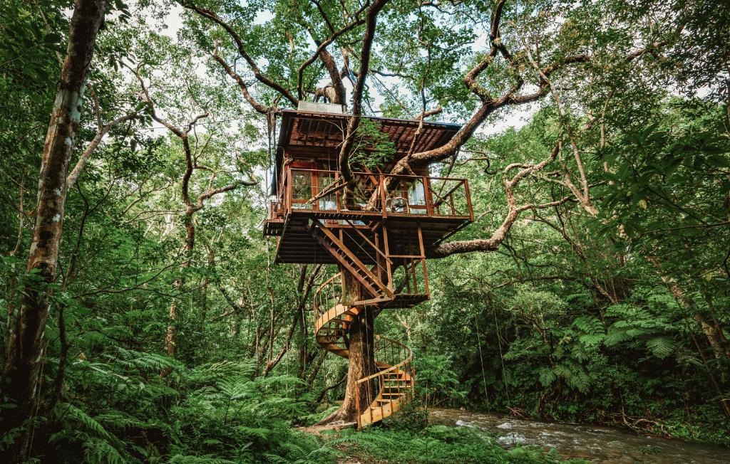 Genka Hotel | Treeful Treehouse Sustainable Resort Okinawa